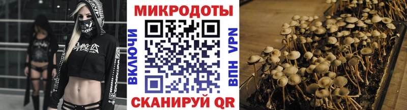 Галлюциногенные грибы MAGIC MUSHROOMS  где купить   Черемхово 