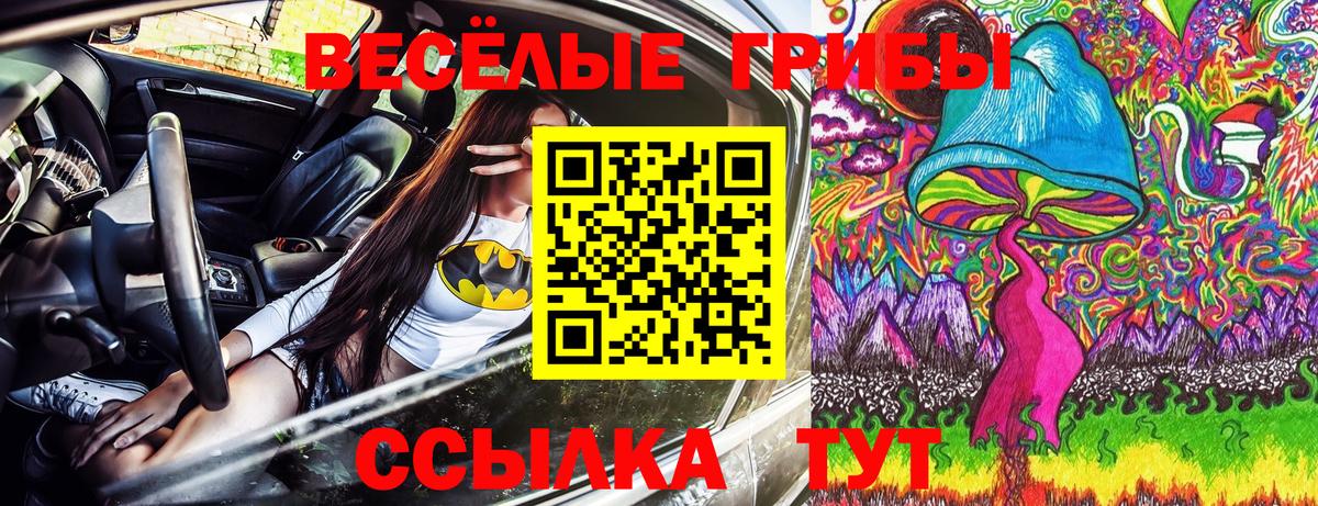 Черемхово  Псилоцибиновые грибы Psilocybine cubensis  Вход с VPN 